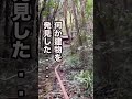 【削除覚悟】天草富士と言われる高杢島に入ってみた結果...