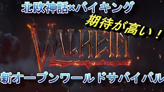 #3 生放送 2月3日リリースの北欧×バイキングサバイバル【Valheim】長老の謎　 PC版