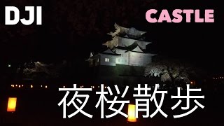 ドローン陸撮　小田原城『お散歩Japan』夜桜