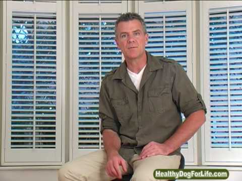 Dog Diabetes: How to Heal Naturally for Pennies Dog Diabetes: How to Heal Naturally for Pennies