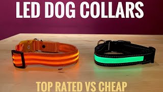 LED Dog Collars - Cheap vs Top Rated, Scoobie-Dee 39