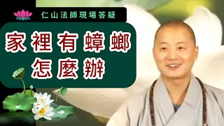 家裡有蟑螂怎麼辦 ~ 仁山法師現場答疑