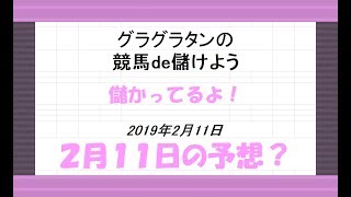 グラグラタンの競馬予想？！　２月１１日（月）分