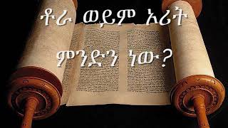 ለመሆኑ ቶራ ወይም ኦሪት ምንድን ናት?