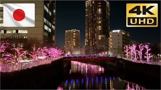 【Christmas Lights in Japan】④ Illuminations in Tokyo