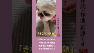 きな子の笑顔 シーズ犬「きな子」との一日の生活を歌にしました。