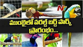 ముంబైలో వరల్డ్ బర్డ్ పార్క్ ప్రారంభం || Essel World launches interactive bird park In Mumbai || NTV