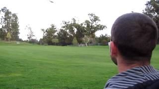 T-Rex 500 RC Helicopter