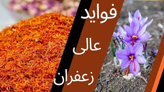 فواید و اضرار زعفران که بسیار مهم هستند