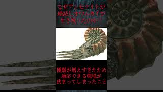 【ゆっくり解説】なぜアンモナイトは絶滅してオウムガイは生き残ったのか？