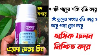 গাছের দ্রুত বৃদ্ধি ও অধিক ফলনের উপায় । Plant Growth Regulators