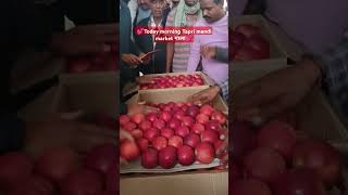 Today apple market tapri auction price #himachalpradesh #mountains #himachal apple#kinnaur apple