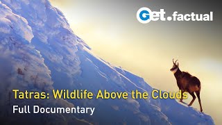 The Tatra Mountains - Life on the Edge | Full Documentary Episode 2