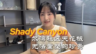 Shady Canyon社区介绍——尔湾豪宅社区天花板