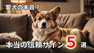 犬が心から信頼している人にだけ見せるサイン５選／飼い主との深い絆