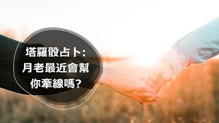 【塔羅骰占卜】最近月老會幫你牽線嗎？（五擇一）