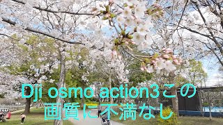 2023年3月22日(水) Dji osmo action3で都立浮間公園お花見風景