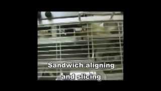 Colimatic Automatic Sandwich Line