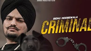 Cariminal Song: Sidhu Moose Wala GTA Video Badmasi Letest Punjabi song 2022