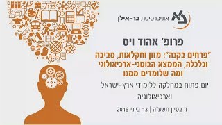 פרופ' אהוד ויס - \