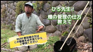 【都会でリジェネラティブ農業】ふだんの畑の管理の仕方