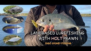 Landbased lurefishing with HOLT Prawn