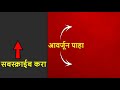 sindhudurg elephant chase सिंधुदुर्गात हत्तीकडून तिघांचा पाठलाग पुलाच्या पाईपमध्ये लपल्याने बचावले