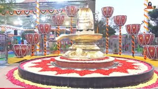 Dustaprayoga Nivarana Sivalingam  | 2025 Shivaratri | Siddhaguru