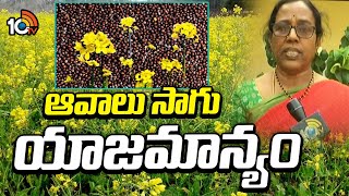 ఆవాలు సాగు యాజమాన్యం | Mustard Farming | Avalu Cultivation | Matti Manishi | 10TV