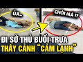 Vào sở thú GIỜ NGHỈ TRƯA, cô gái chứng kiến CẢNH TƯỢNG HỮU TÌNH trong chuồng hổ | Tin 3 Phút