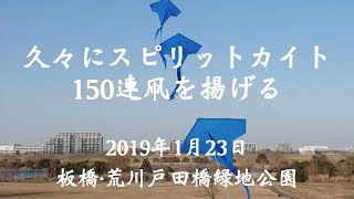 久々にスピリットカイト150連凧を揚げる