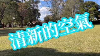 EP145[澳洲篇🇦🇺］清新的空氣，SMM2H港人移居￼大馬🇲🇾