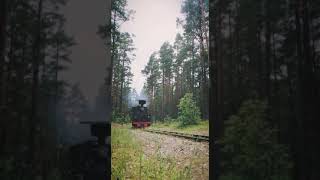 nature train #short #shortvideo #status amazing song
