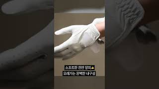 앗! 합피! 양피보다 싸다!🔥 쫀쫀한 골프장갑 찾는다면?