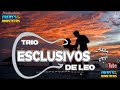 trio exclusivos dé leo no paras de aserme feliz. audio en vivo 2024.