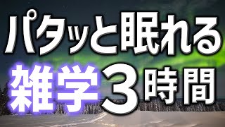 【眠れる男性AIの声】パタっと眠れる雑学朗読3時間【睡眠用・寝ながら聴ける】