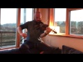 Fergal Scahill's fiddle tune a day 2017 - Day 42 - The Joy of My Life