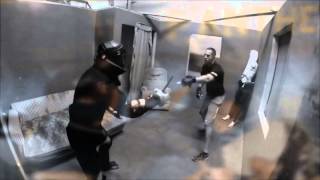Capstone Combatives Systems Introduction
