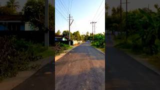 The Beautiful Kerala Green Street🔥 #shorts #shortsfeed #kerala #nature