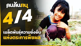 คนค้นฅน : เมล็ดพันธ์ความยั่งยืนแห่งตระการพืชผล ช่วงที่ 4/4 (22 มีนาคม 63)