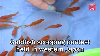 Goldfish scooping contest held in western Japan