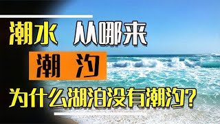 大海为什么会涨潮退潮，退潮的海水去哪了，被地心吸引进去了吗？