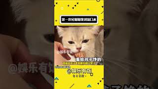 第一次见猫猫馋到流口水 #猫咪 #吃货猫 #娱乐评论大赏 #搞笑#shorts