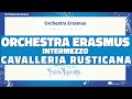 Erasmus Orchestra // Remote concert - Intermezzo dalla Cavalleria Rusticana