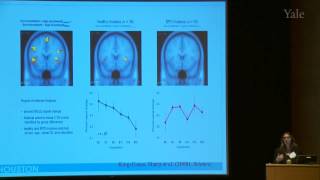 11th Annual Yale NEA-BPD Conference: Mentalization in Borderline Personality Disorder