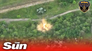 Ukrainian army blasts Russian howitzer in Oblast