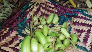 Preserving  Bilimbi ( Bilin)