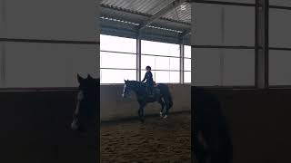 Kłusik 👻🐴😻