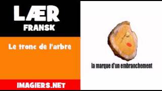 Lær fransk = Le tronc de l'arbre