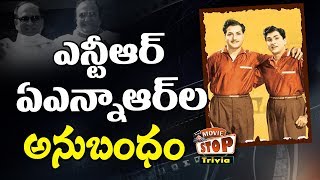 Facts about between ANR and NTR || Akkineni Nageswara Rao || NT Rama Rao || Movie Stop Trivia